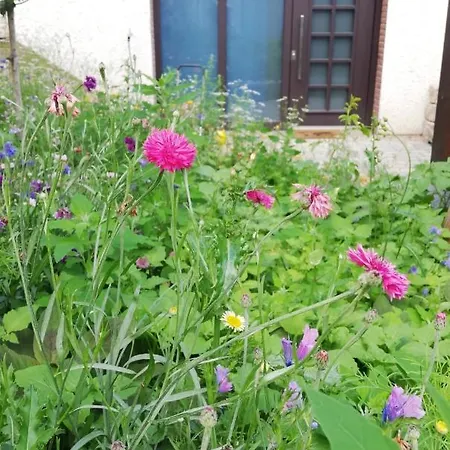 Your - Runkel, You're Sweet! Apartament *