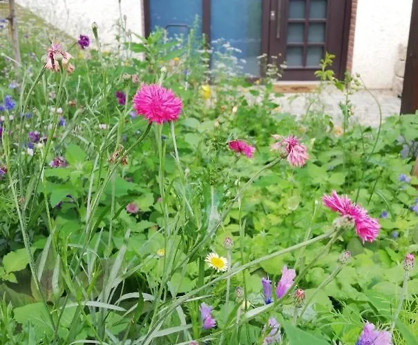 Your - Runkel, You're Sweet! Apartamento *